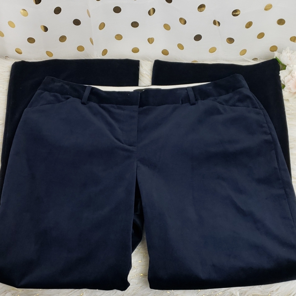 Body by Victoria The Christie Fit Blue Velvet Pant